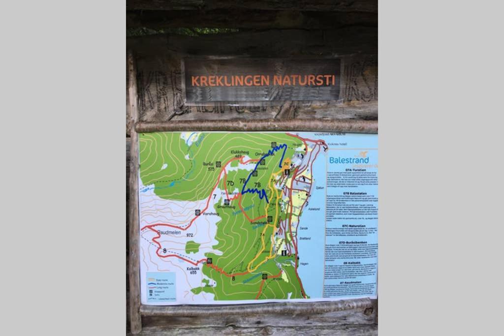Balestrand Fjordapartments Holmen 19A מראה חיצוני תמונה