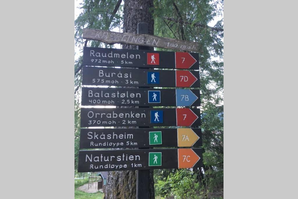 Balestrand Fjordapartments Holmen 19A מראה חיצוני תמונה