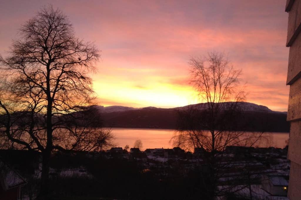 Balestrand Fjordapartments Holmen 19A מראה חיצוני תמונה