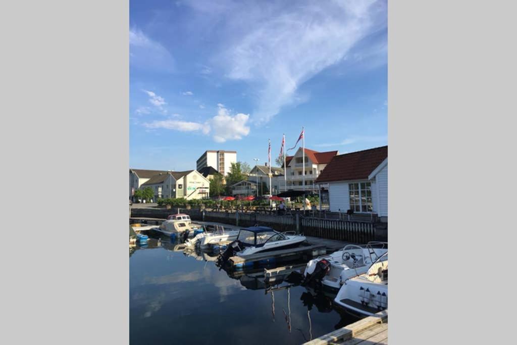 Balestrand Fjordapartments Holmen 19A מראה חיצוני תמונה