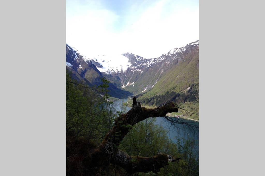 Balestrand Fjordapartments Holmen 19A מראה חיצוני תמונה