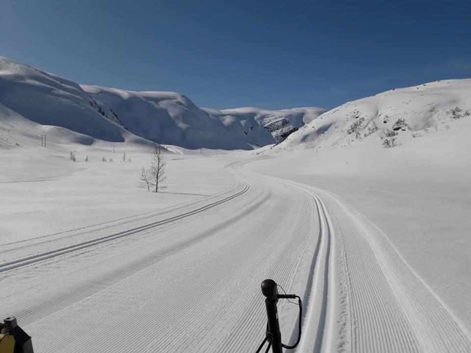 Balestrand Fjordapartments Holmen 19A מראה חיצוני תמונה